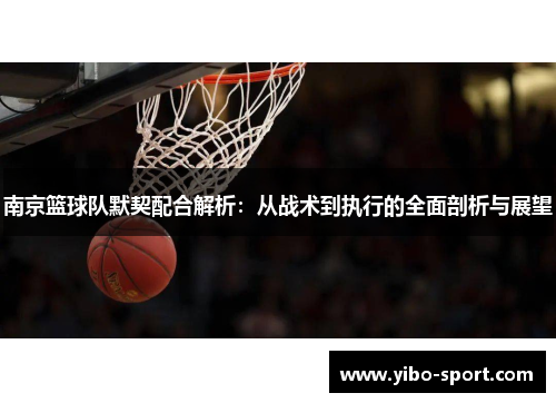 南京篮球队默契配合解析：从战术到执行的全面剖析与展望