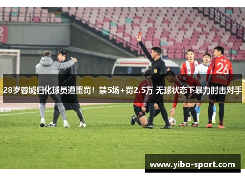 28岁蓉城归化球员遭重罚！禁5场+罚2.5万 无球状态下暴力肘击对手