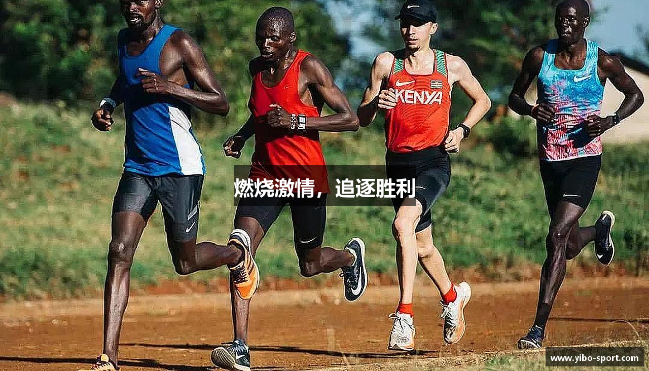 燃烧激情，追逐胜利